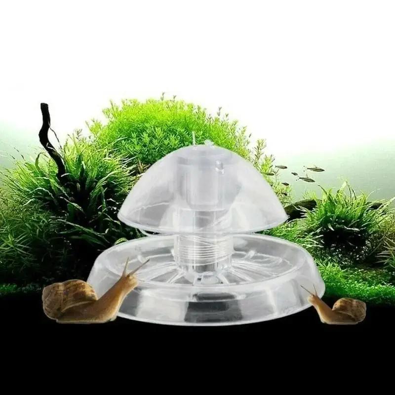 Marine Aquarium - 2026 New 6/8CM Clear Plastic Snail