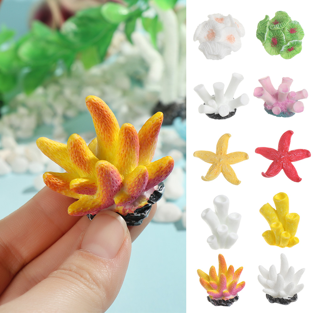 Reef Aquarium - San Hô Nhân Tạo Cá Đồ