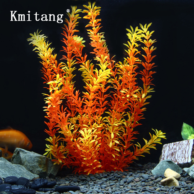 Marine Aquarium - 100Cm Thực Vật Nhiệt Đới Lớn