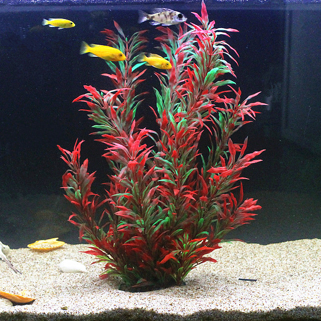 Marine Fish Tank - 50CM Nhân Tạo Cá Thực Vật