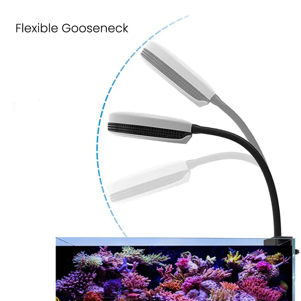 Spectra SP20 20W Aquarium LED  - đánh giá và giá Saltwater Tank