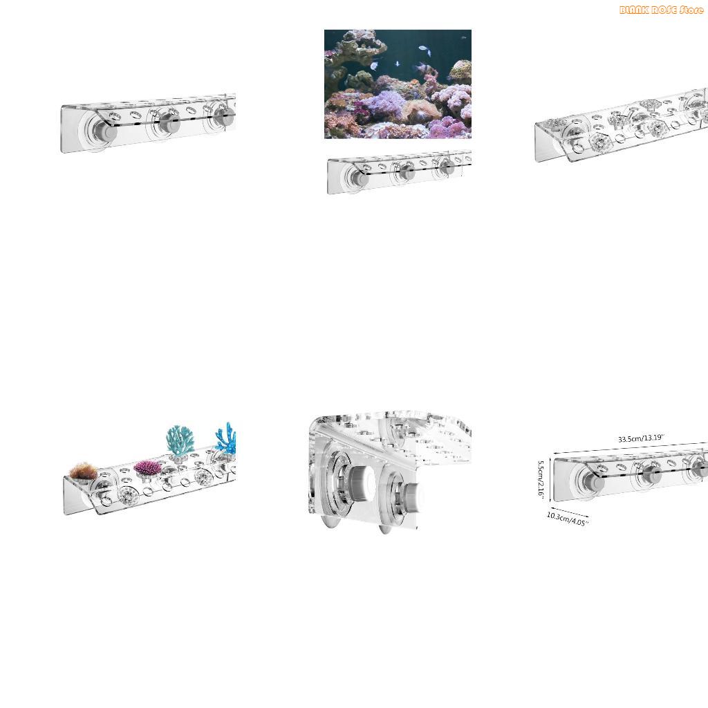 K1AE Acrylic Hô Frag Giá Để Bể - đánh giá và giá Reef Aquarium