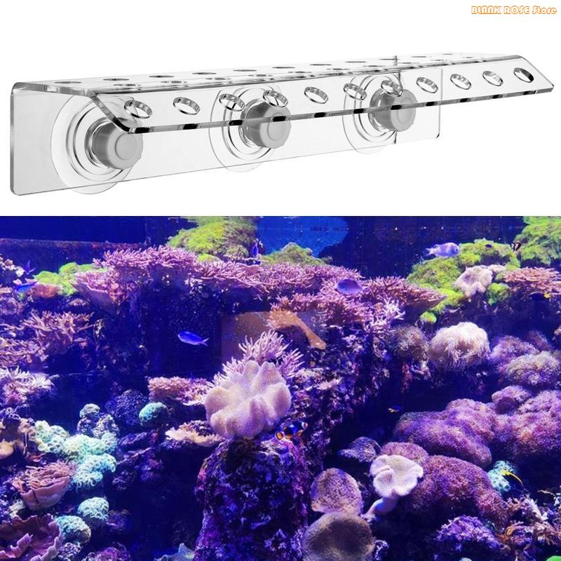 K1AE Acrylic Hô Frag Giá Để Bể - đánh giá và giá Reef Aquarium