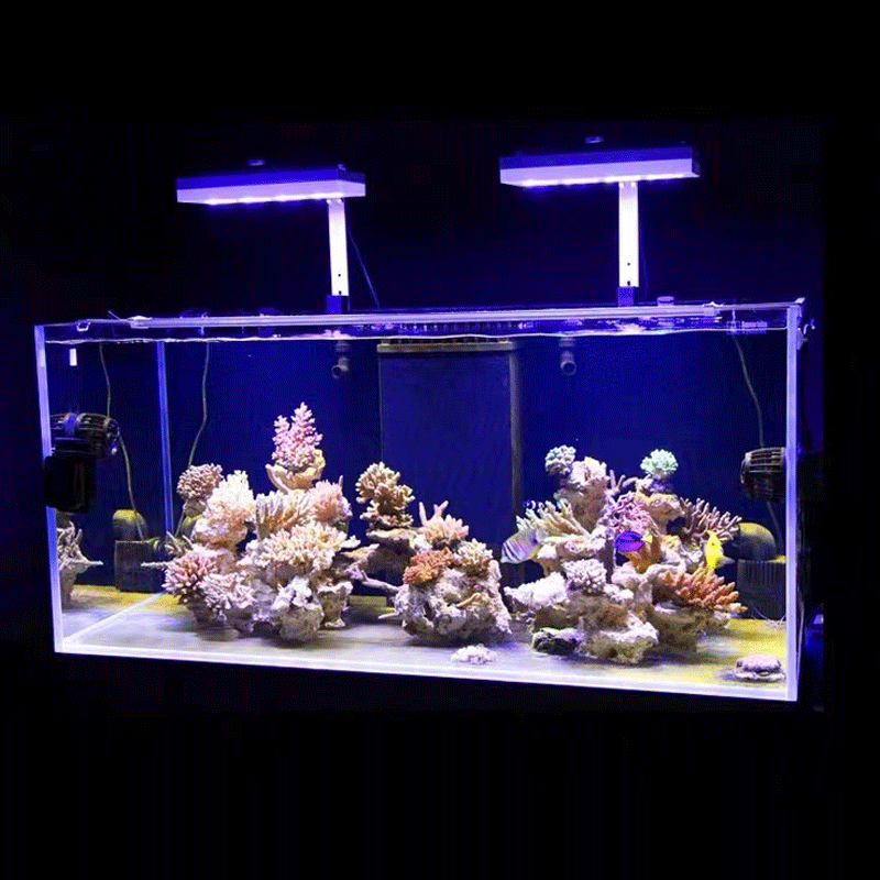 Aqua Illumination AI Hydra 32H - đánh giá và giá Marine Coral