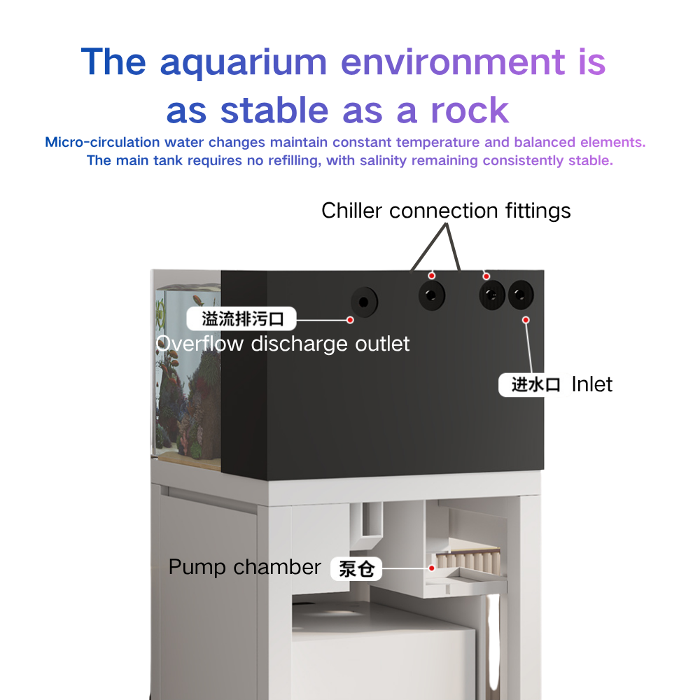 Smart Fish Tank Paopaoshark Au - đánh giá và giá Marine Aquarium Cube