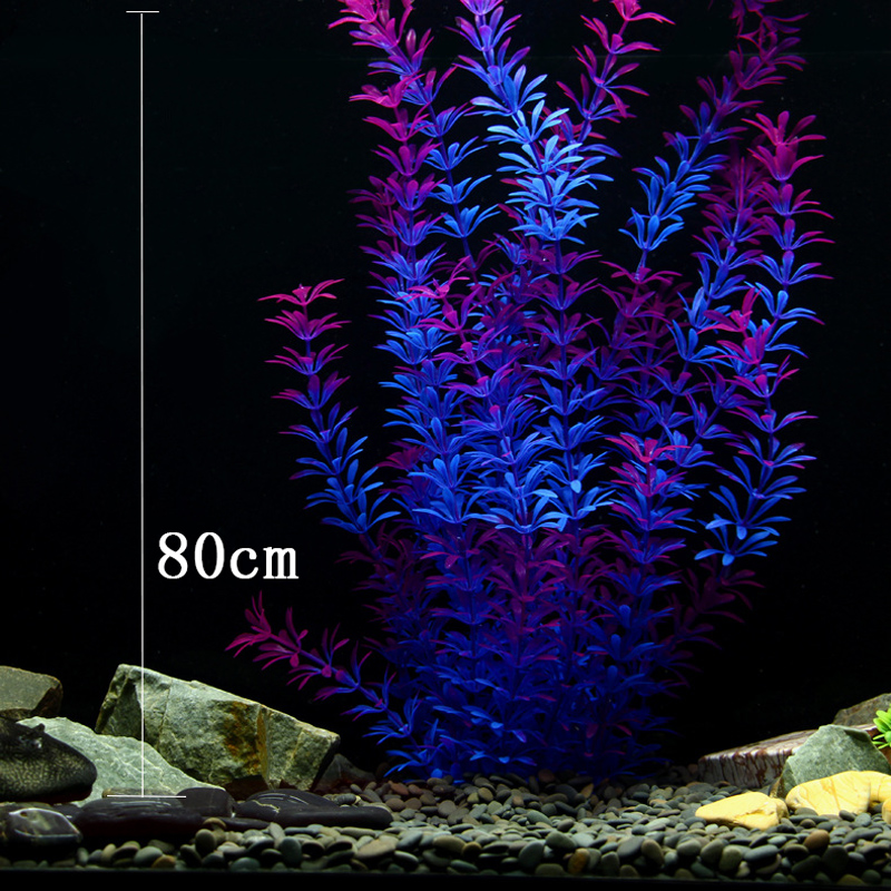 100Cm Thực Vật Nhiệt Đới Lớn N - đánh giá và giá Marine Aquarium