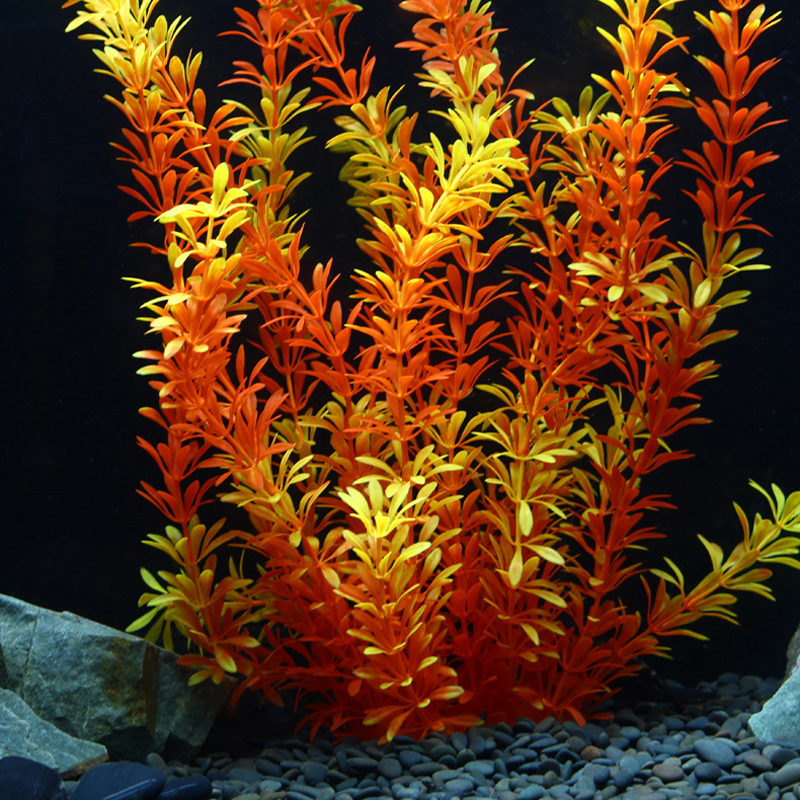 100Cm Thực Vật Nhiệt Đới Lớn N - đánh giá và giá Marine Aquarium