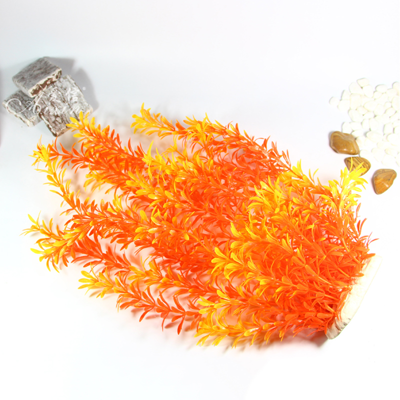 100Cm Thực Vật Nhiệt Đới Lớn N - đánh giá và giá Marine Aquarium