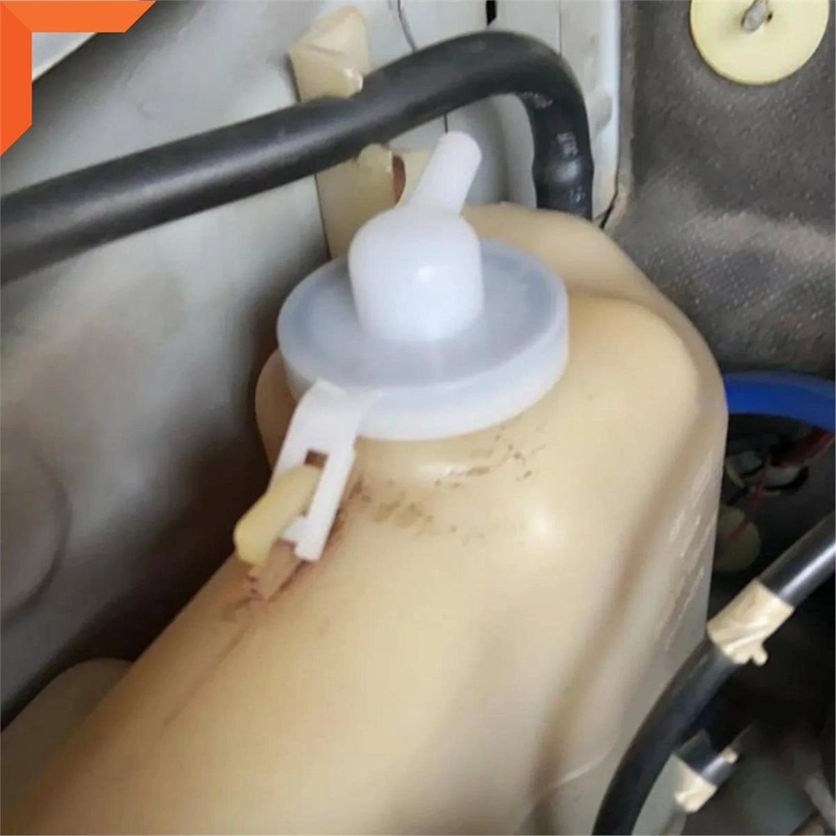 #37H Radiator Cap,Water Washer - đánh giá và giá Saltwater Tank