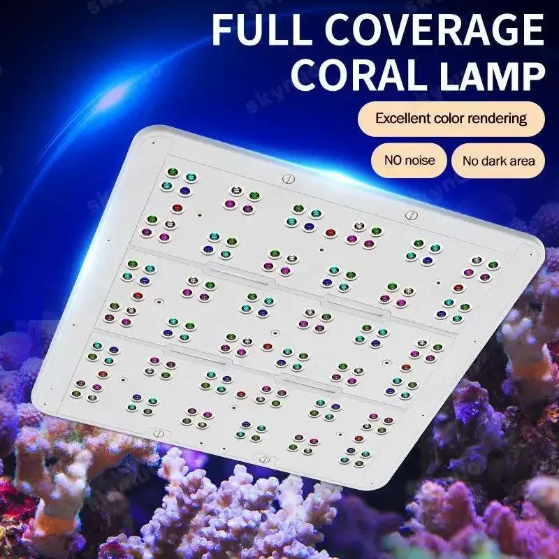 In stock  KASSRAY T90 90W Flat - đánh giá và giá Marine Coral