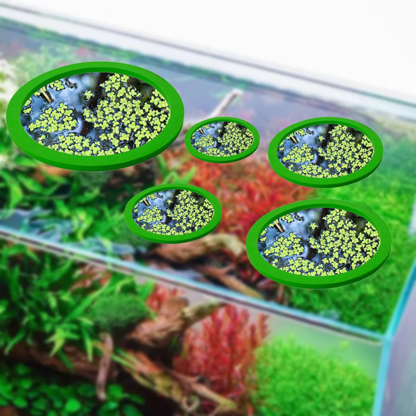 5Pcs EVA Fish Feeding Ring Aqu - đánh giá và giá Ocean Aquarium