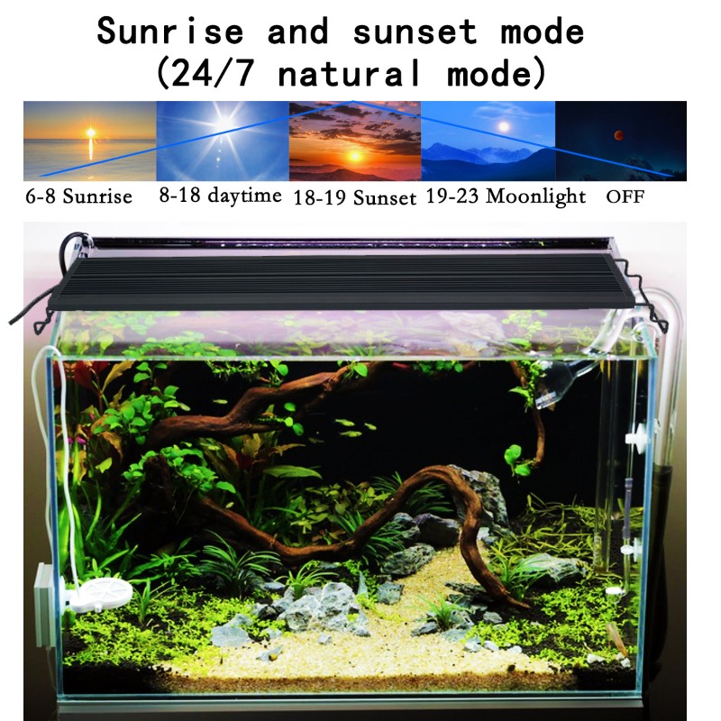 LED Fish Tank Light Full Spect - đánh giá và giá Reef Lighting