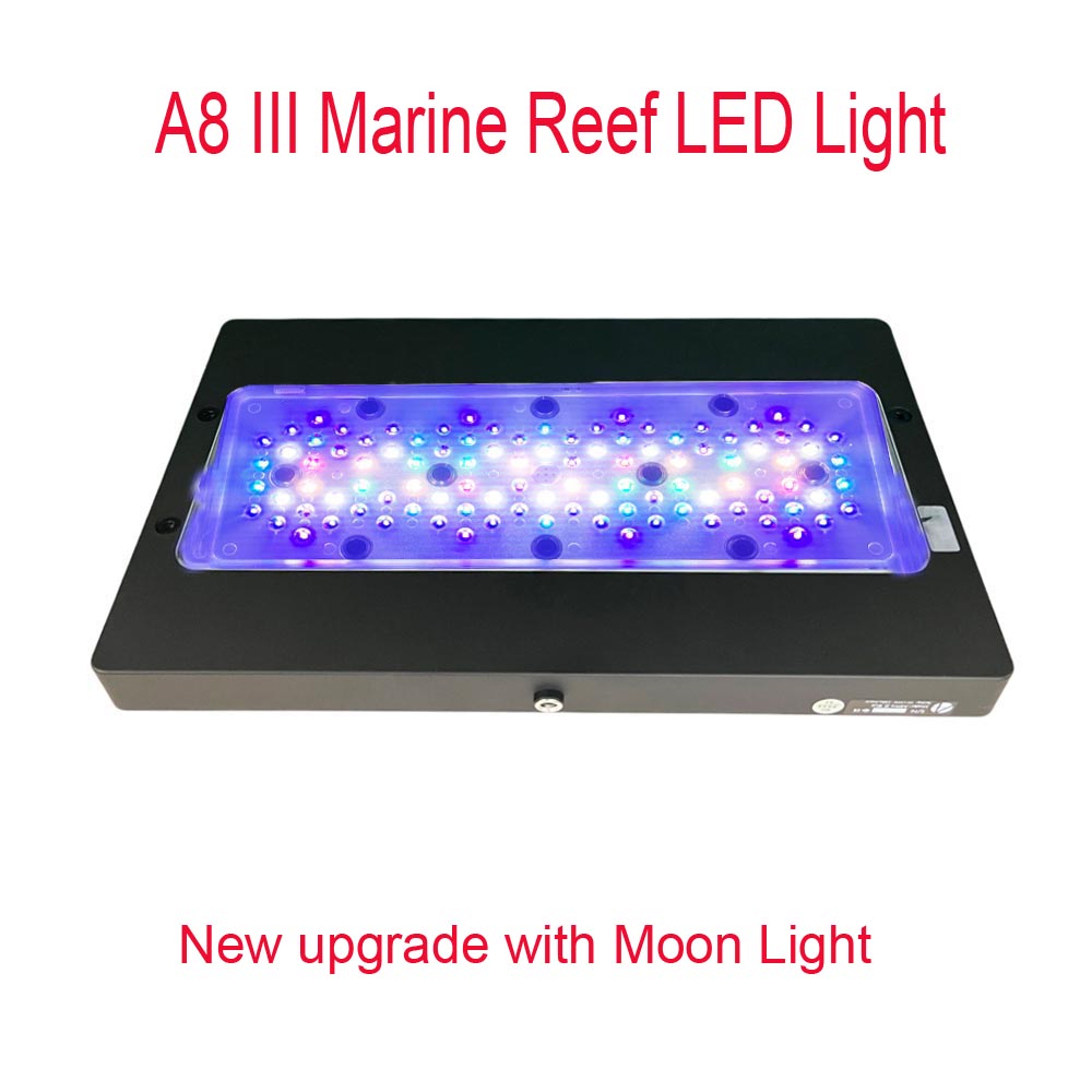 A8 III Moon light Powerful Mar - đánh giá và giá Marine Coral
