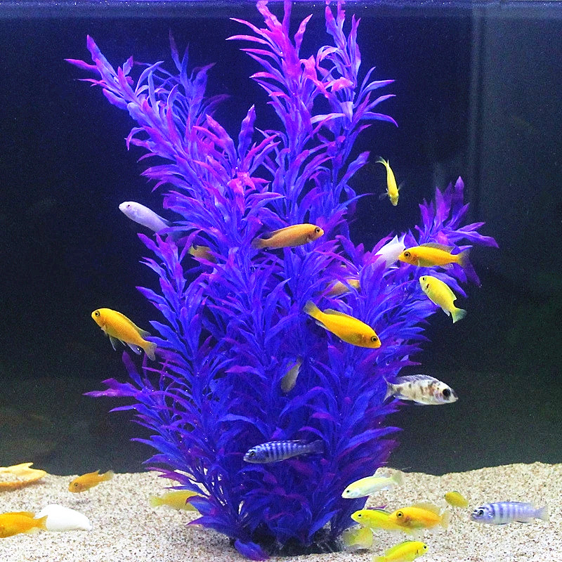 50CM Nhân Tạo Cá Thực Vật Quý  - đánh giá và giá Marine Fish Tank
