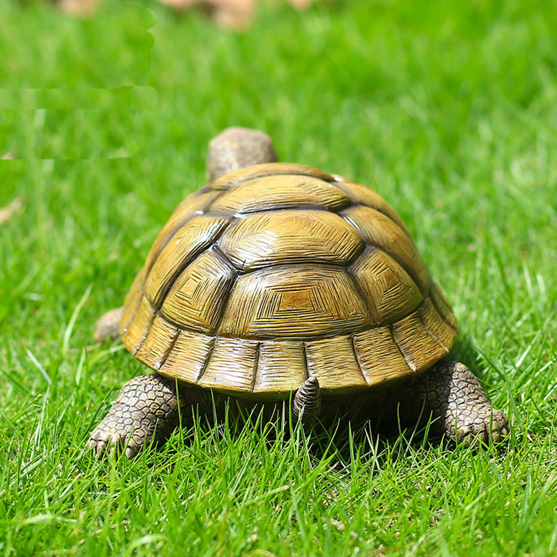Cute Decorative Turtle Resin T - đánh giá và giá Marine Fish Tank